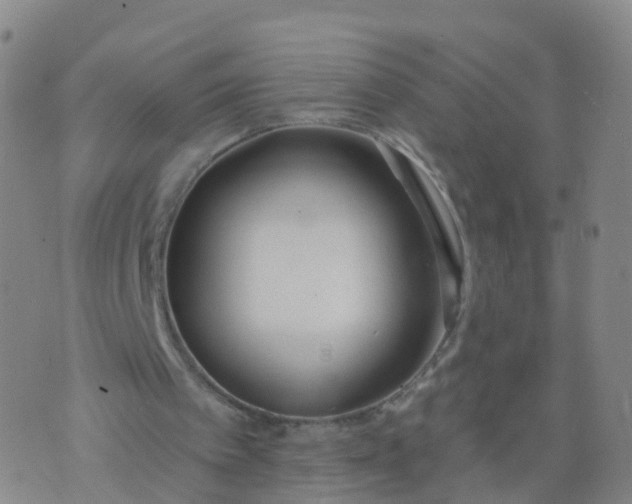 X0000074320097200609082017