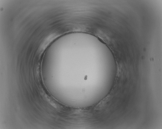 X0000074320098200609082017