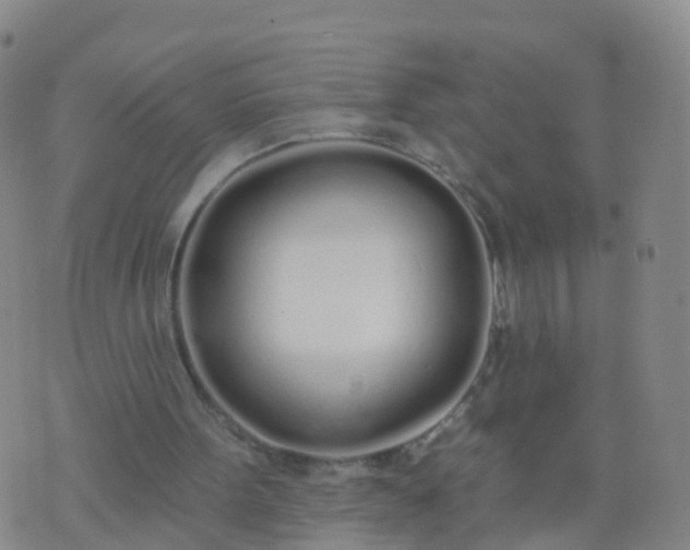 X0000074320099200609082017