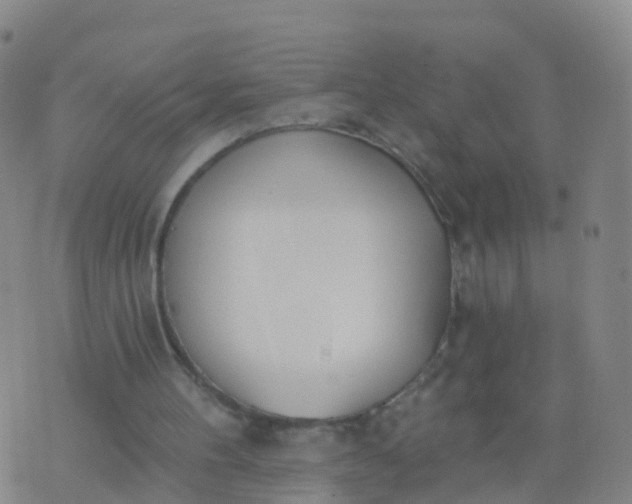 X0000074320100200609082017