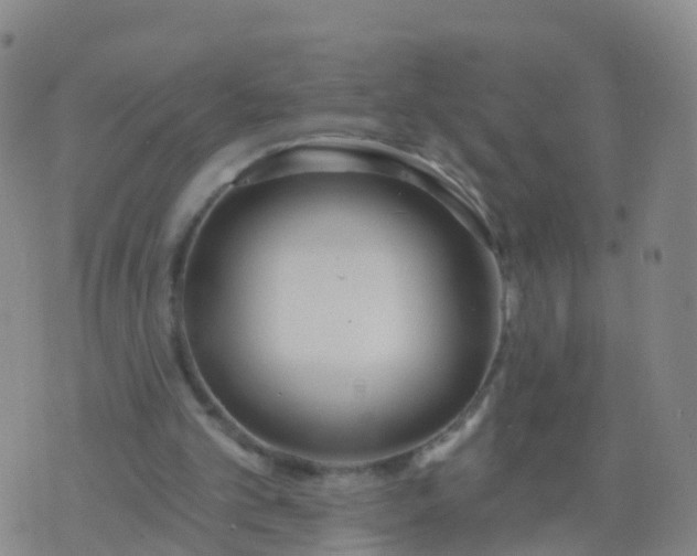 X0000074320101200609082017