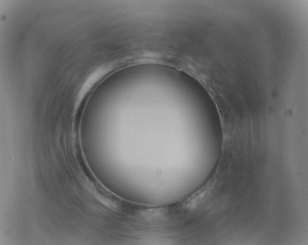 X0000074320102200609082017