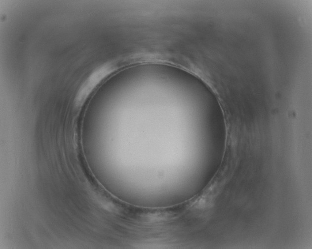 X0000074320103200609082017