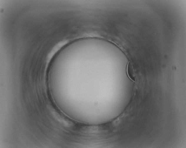 X0000074320104200609082017