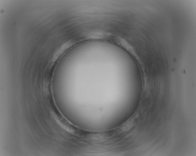 X0000074320106200609082017