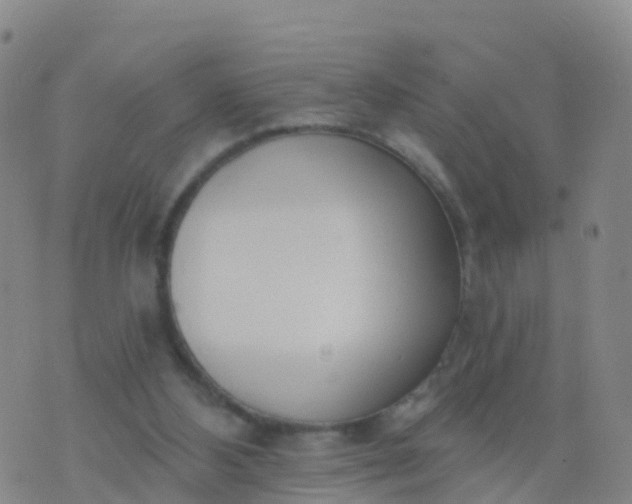 X0000074320108200609082017