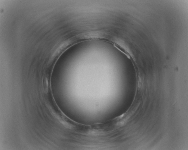 X0000074320109200609082017