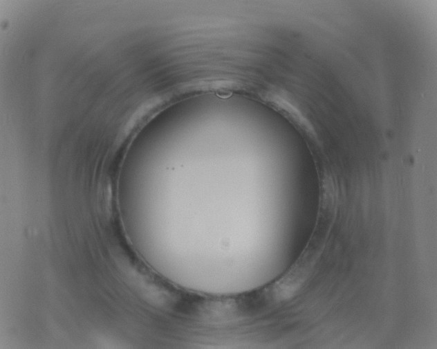 X0000074320110200609082017