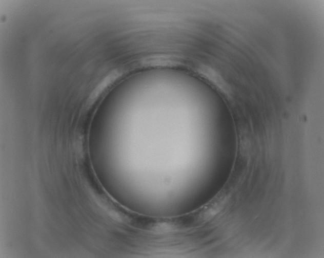 X0000074320111200609082017