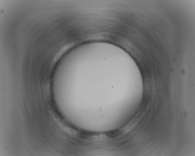 X0000074320112200609082017