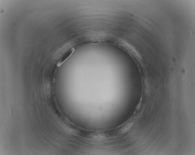 X0000074320113200609082017