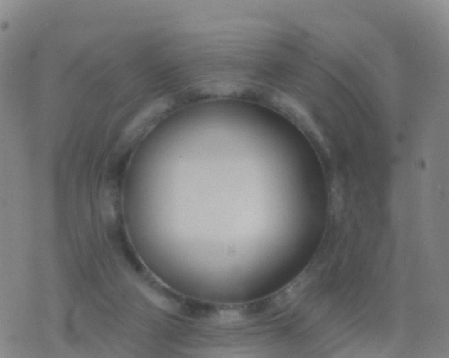 X0000074320114200609082017