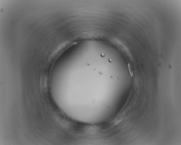 X0000074320115200609082017