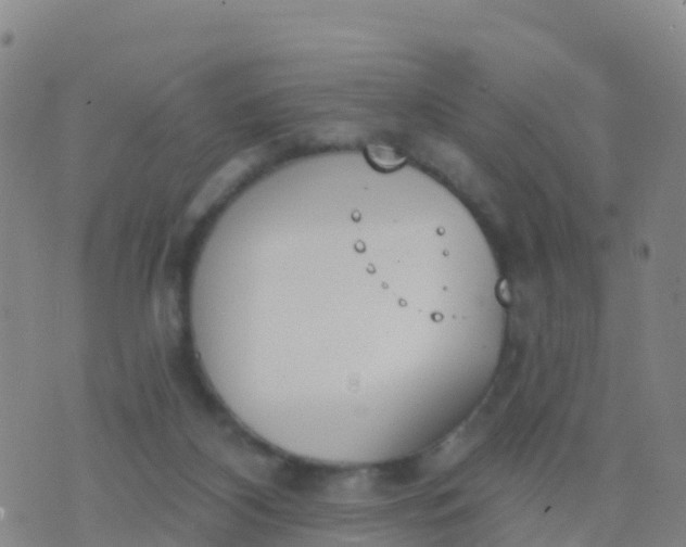 X0000074320116200609082017