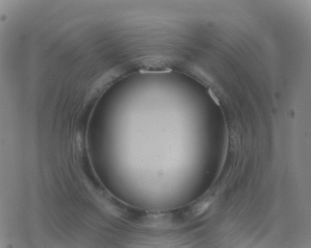 X0000074320117200609082017