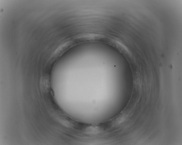 X0000074320119200609082017