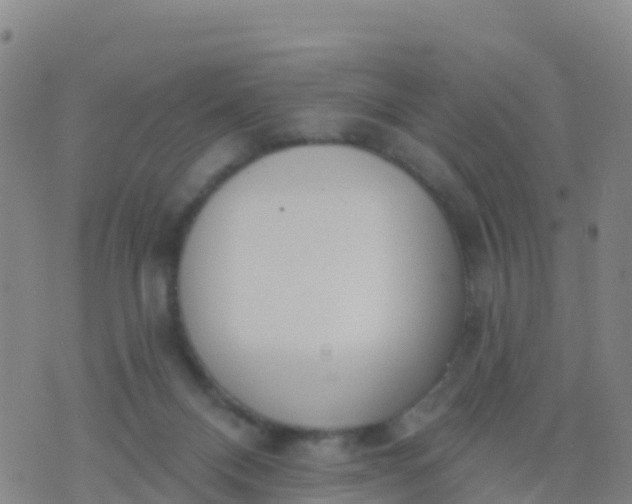 X0000074320120200609082017