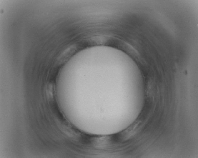 X0000074320122200609082017