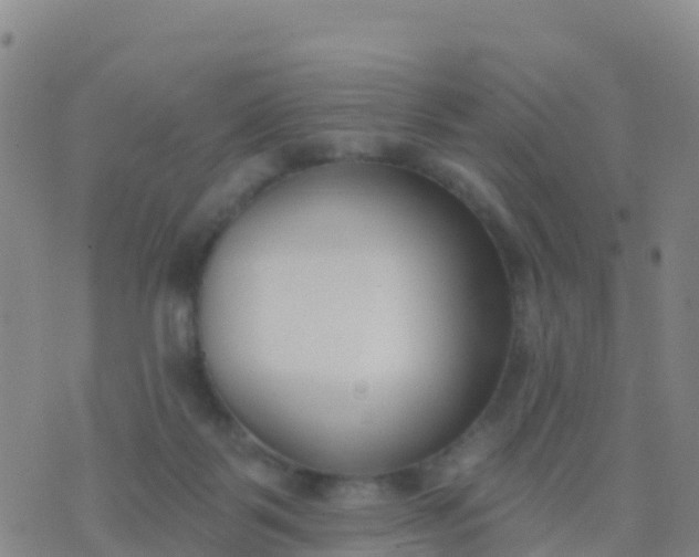 X0000074320123200609082017