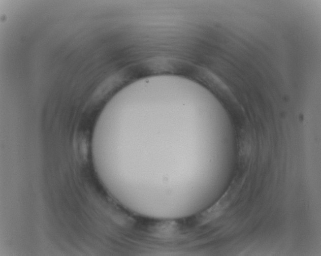 X0000074320124200609082017