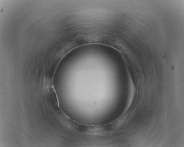 X0000074320125200609082017