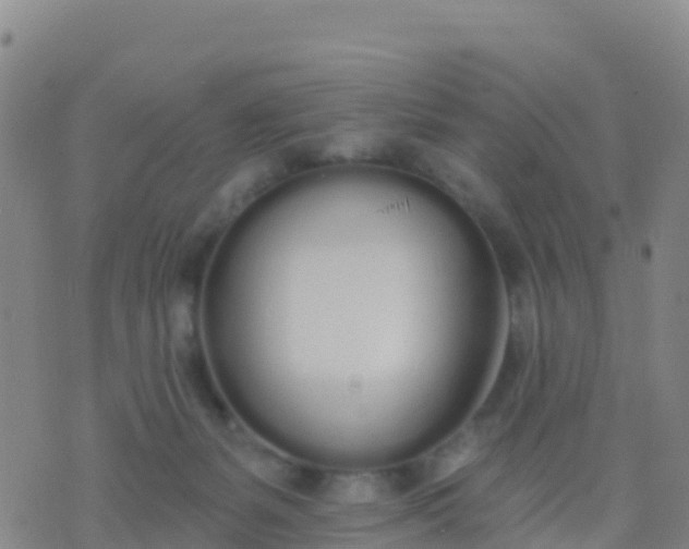 X0000074320127200609082017