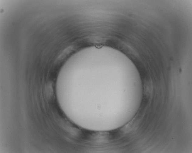 X0000074320128200609082017