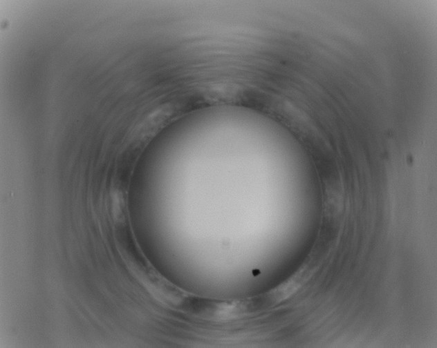 X0000074320130200609082017