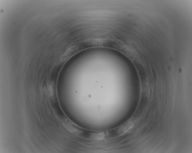 X0000074320131200609082017