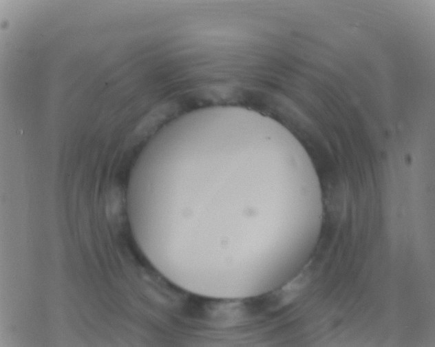 X0000074320132200609082017