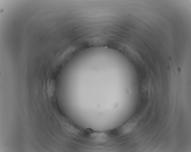 X0000074320133200609082016