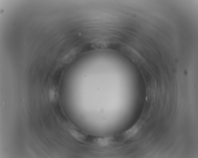 X0000074320134200609082016