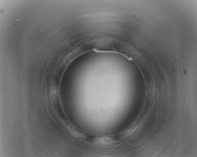 X0000074320137200609082016