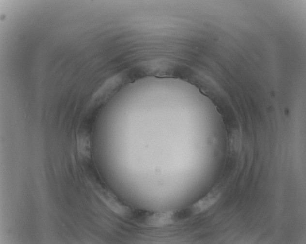 X0000074320138200609082016