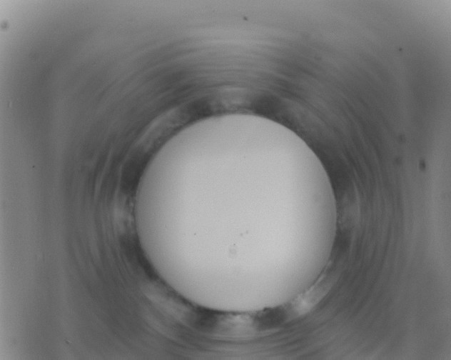 X0000074320140200609082016