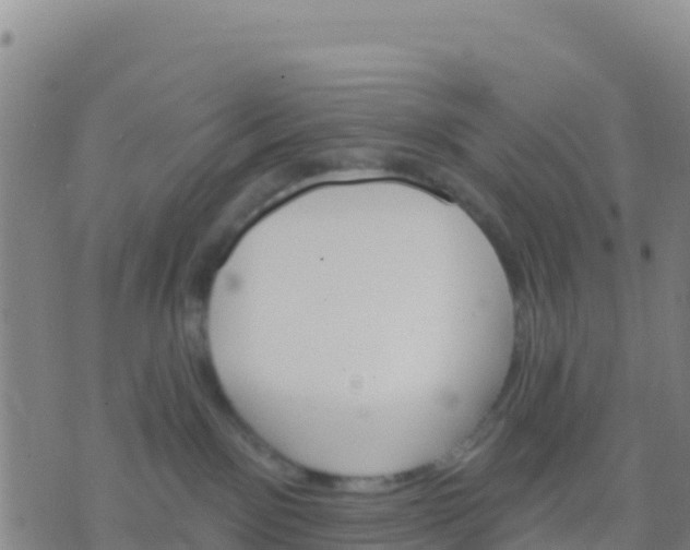 X0000074320141200609082016