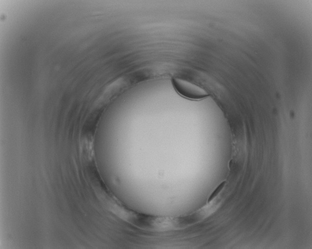 X0000074320142200609082016