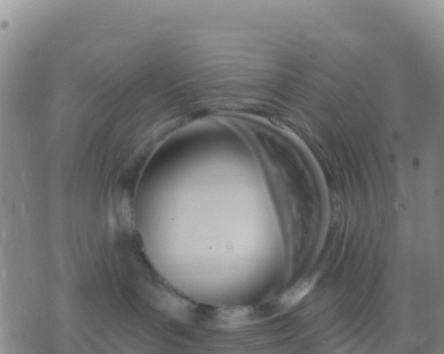 X0000074320143200609082016