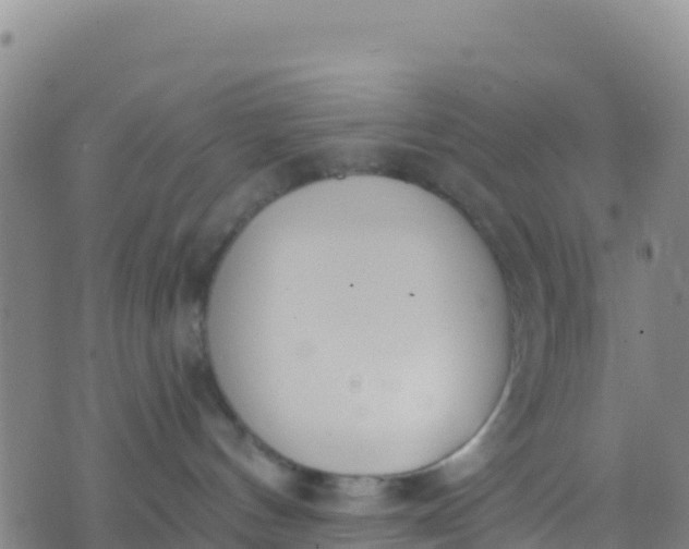 X0000074320144200609082016