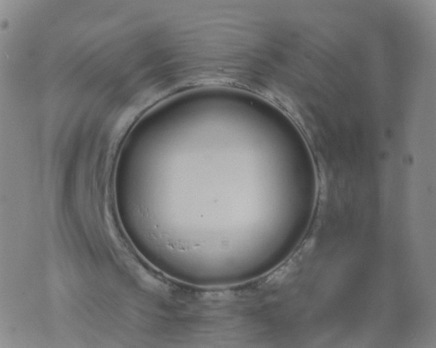 X0000074320145200609082016