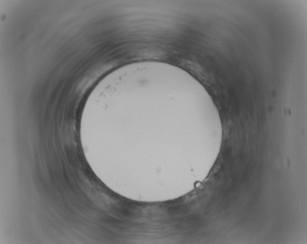 X0000074320146200609082016