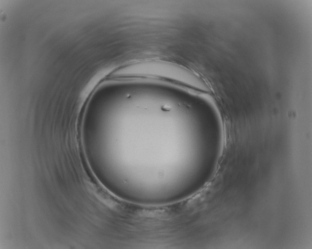 X0000074320147200609082016