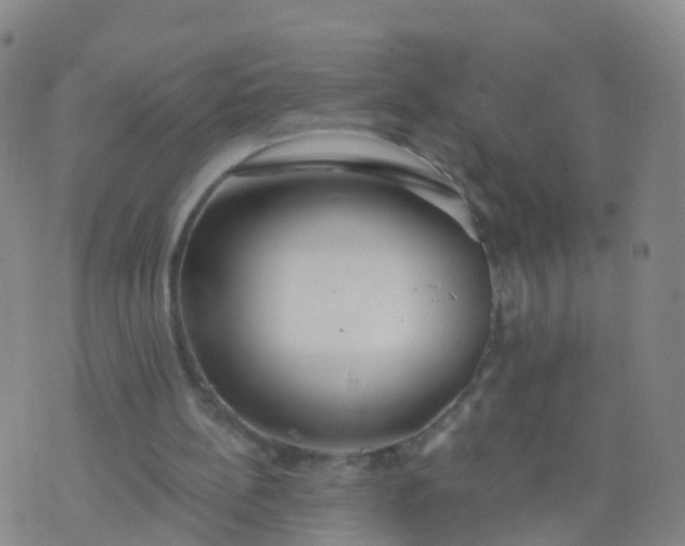 X0000074320148200609082016