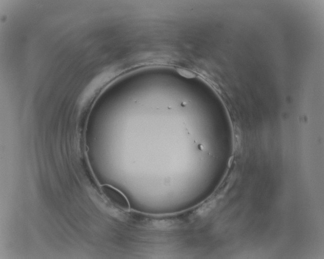 X0000074320149200609082016