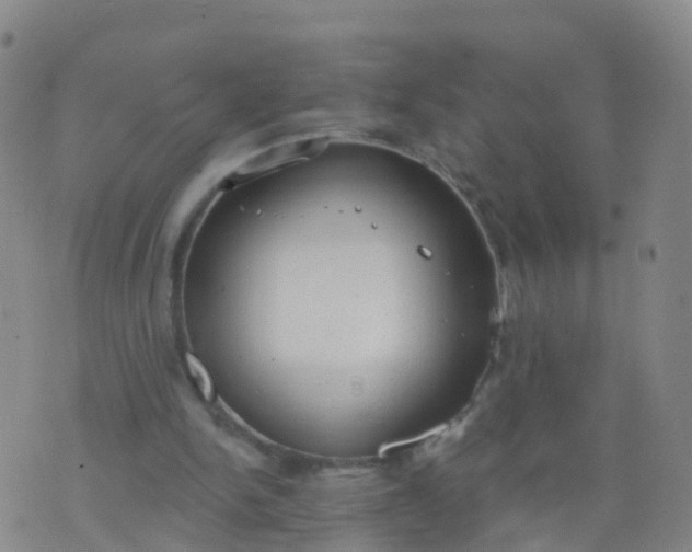 X0000074320150200609082016