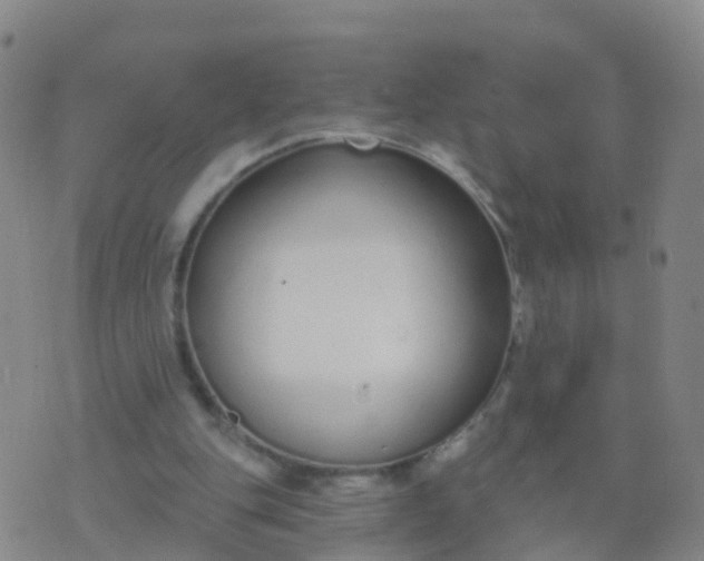 X0000074320151200609082016