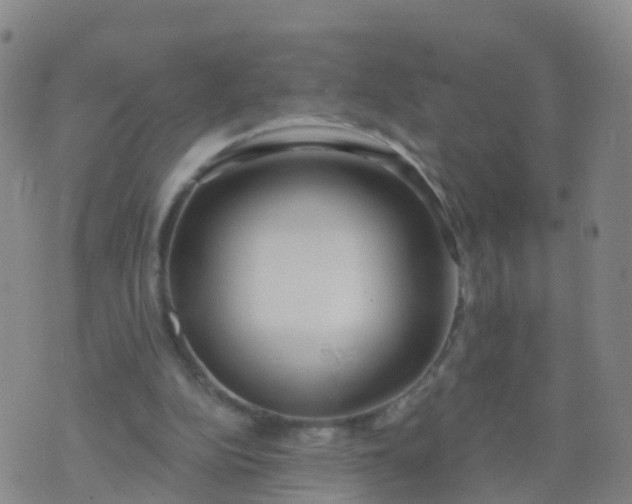 X0000074320152200609082016