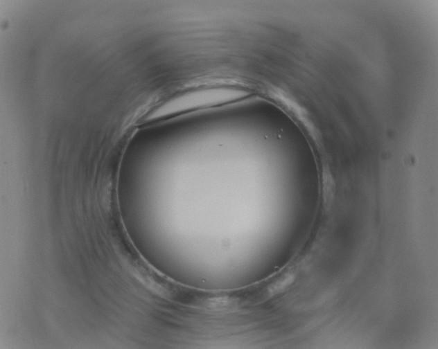 X0000074320153200609082016