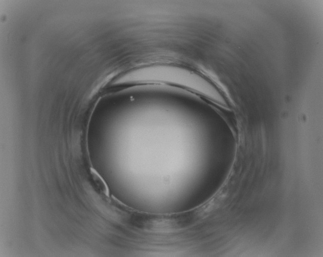 X0000074320154200609082016