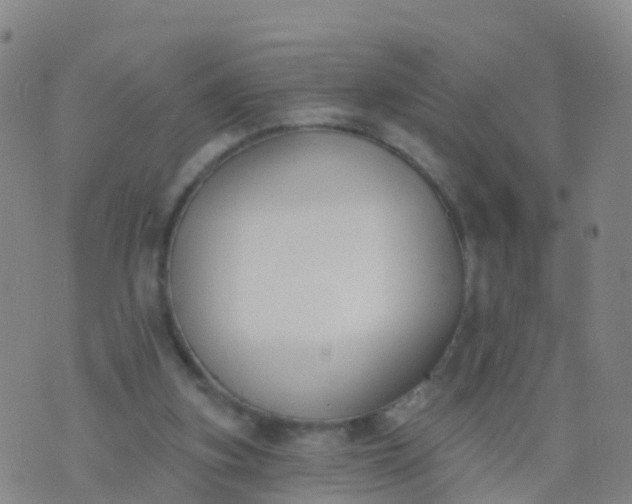 X0000074320155200609082016